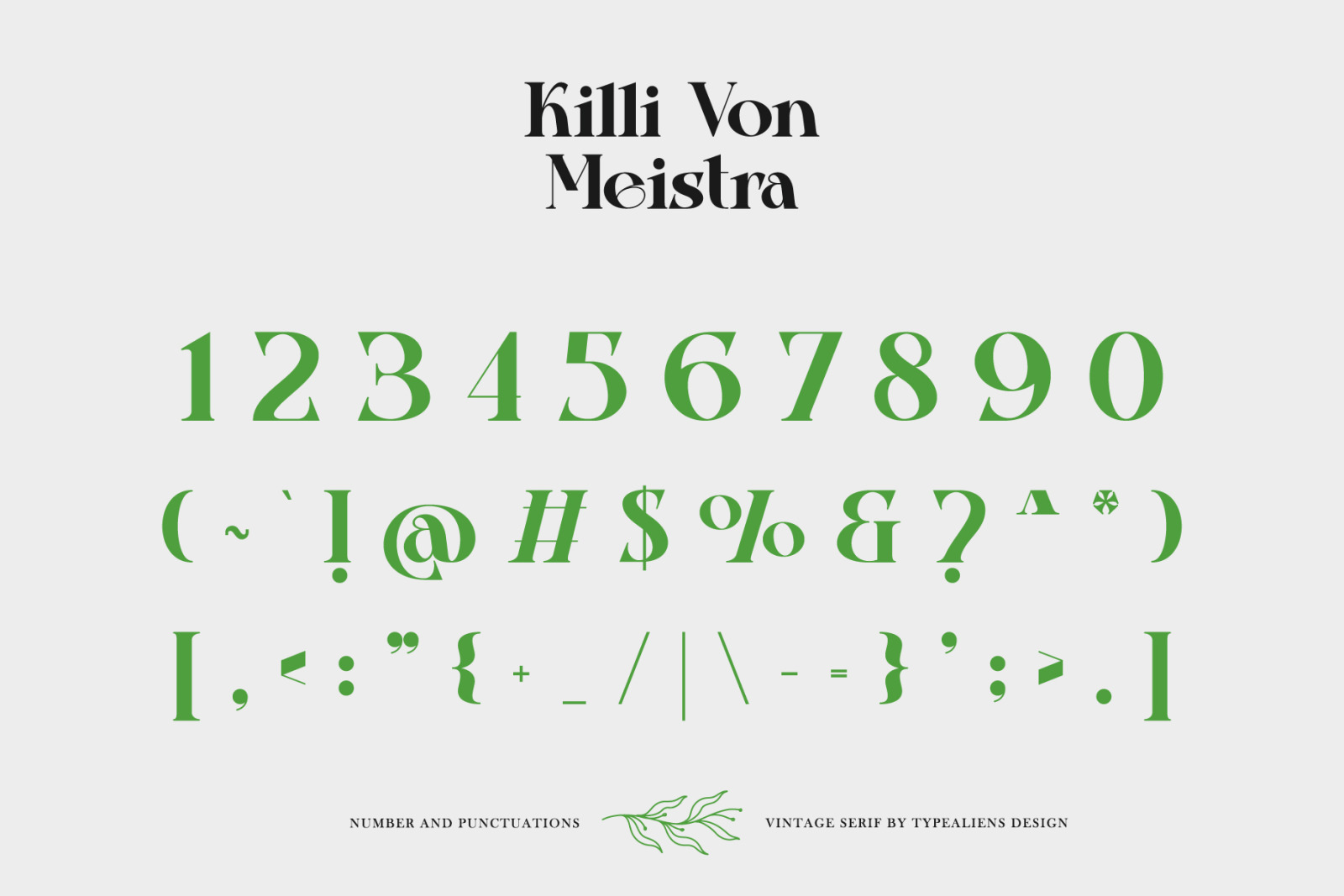 Killi Von Meistra Font