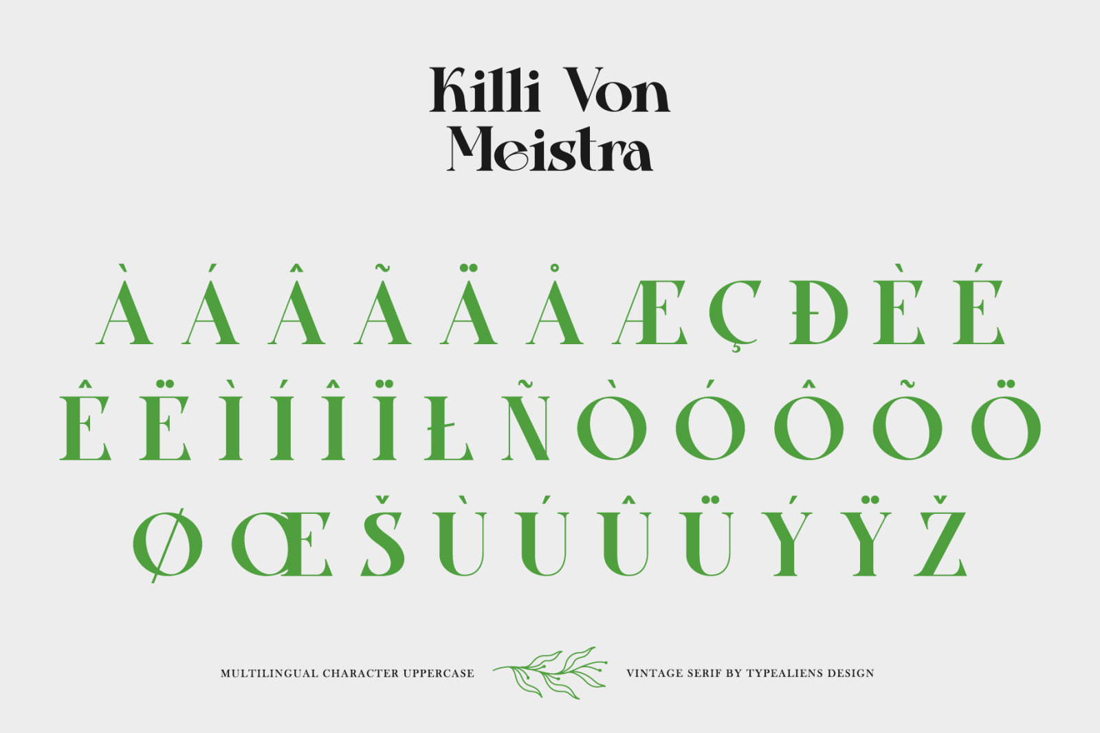 Killi Von Meistra Font Killi Von Meistra Font