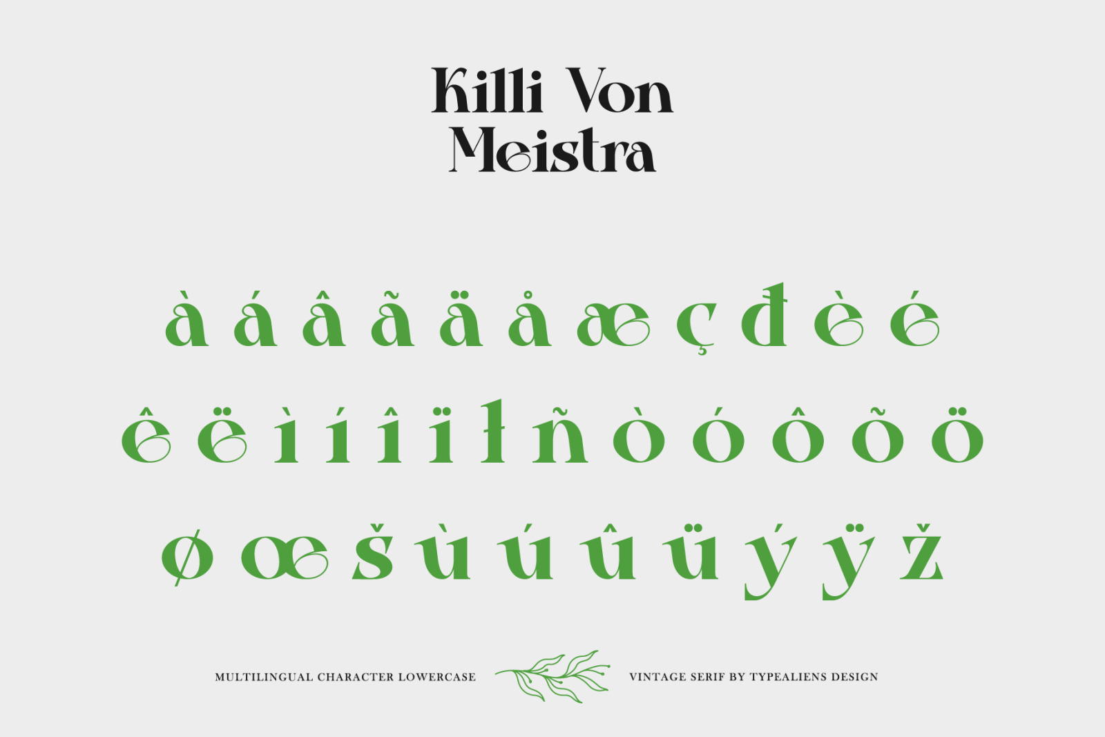 Killi Von Meistra Font Killi Von Meistra Font