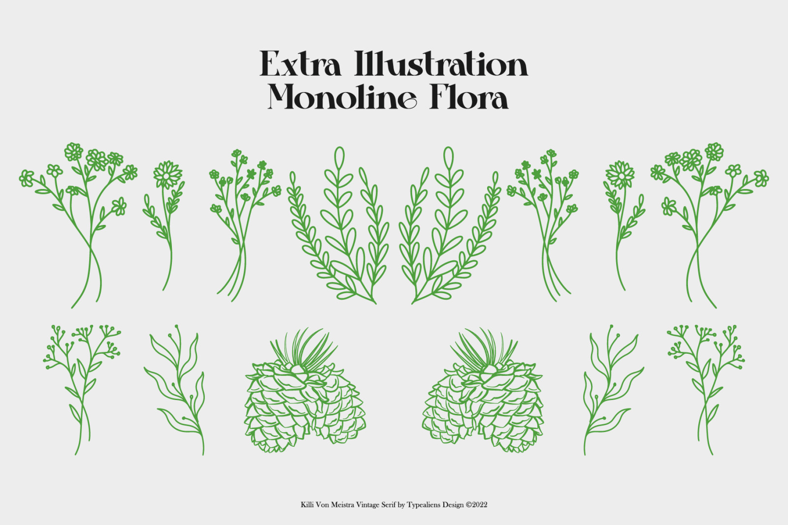 Killi Von Meistra Font Killi Von Meistra Font