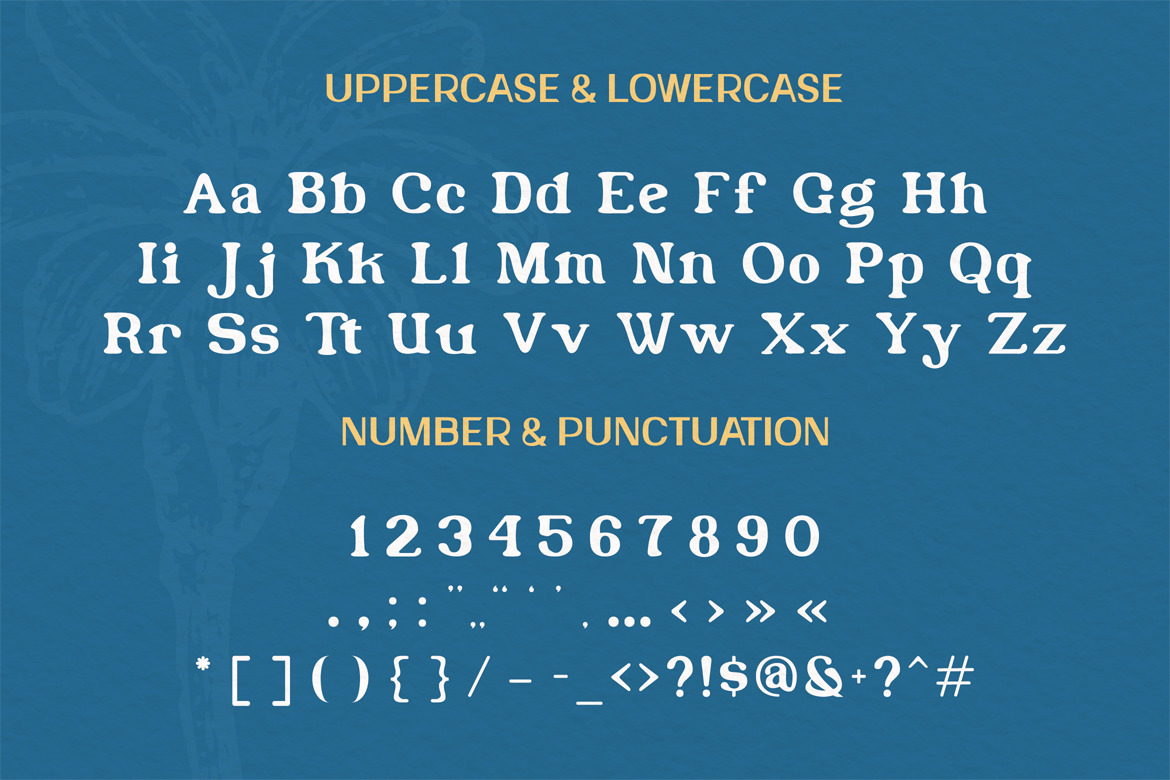 Shafira - Unique Stylistic Font Shafira - Unique Stylistic Font