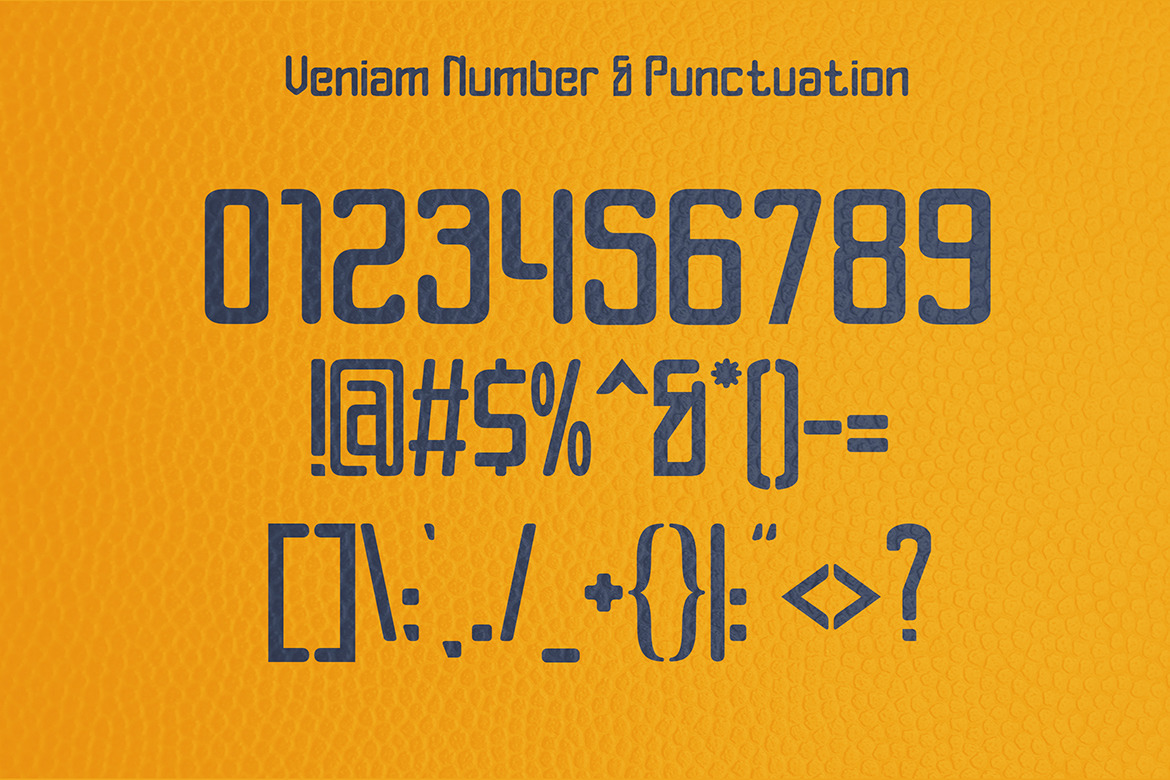 Veniam - Rounded Modern Sans Serif Veniam - Rounded Modern Sans Serif