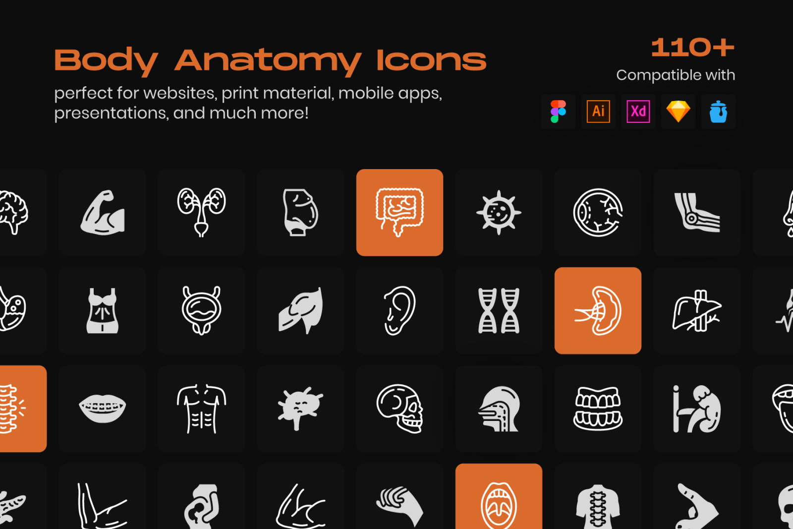 Body Anatomy Line Icons Pack Body Anatomy Line Icons Pack