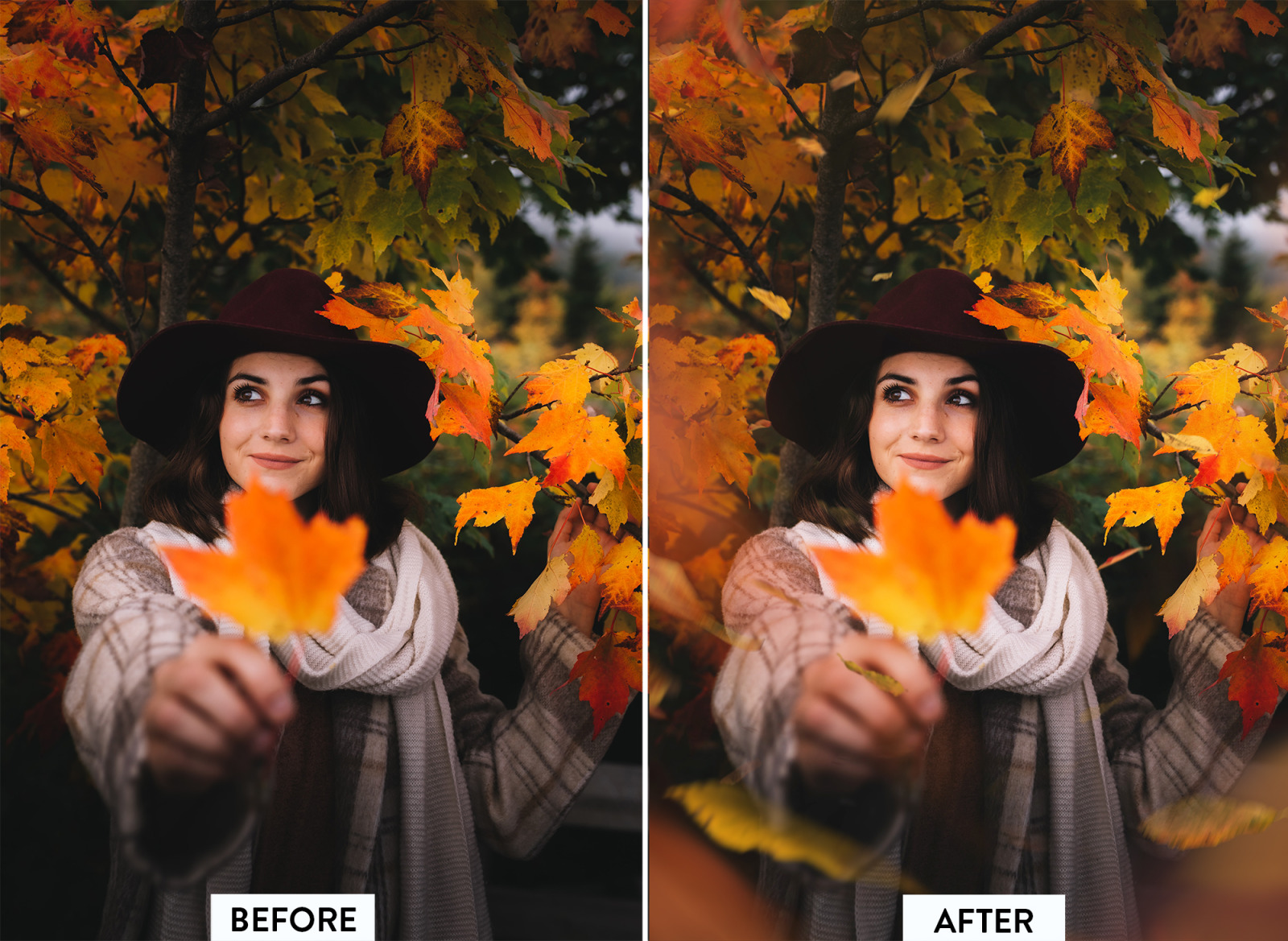 40 Autumn Leaves Overlay | Falling Leaves