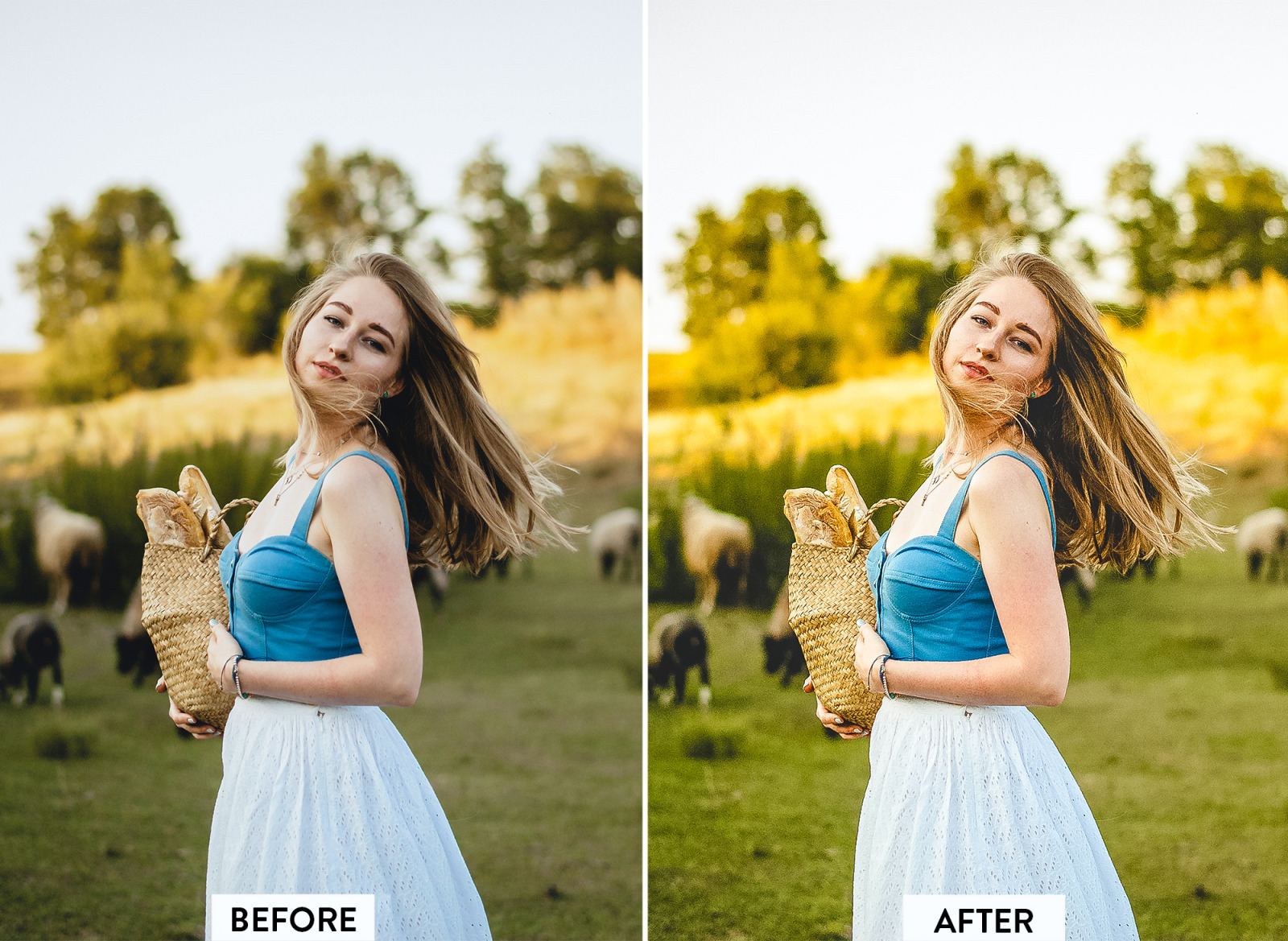 10 Outdoor Natural Lightroom Preset