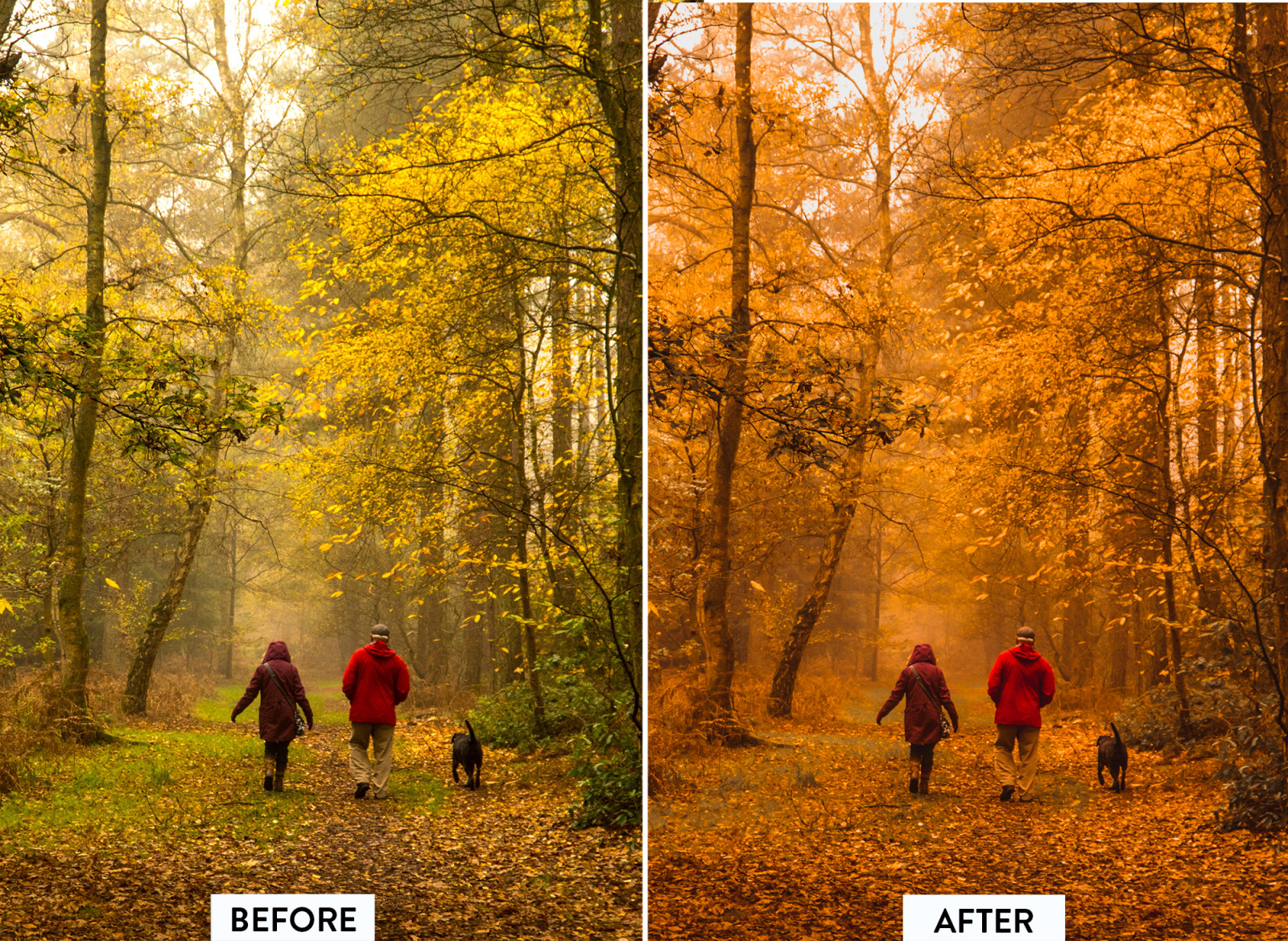 10 Autumn Vibes Lightroom Preset