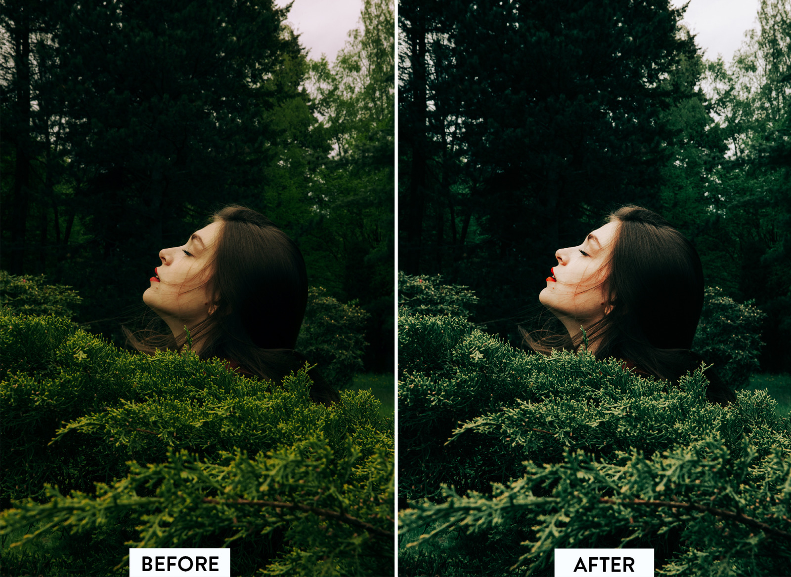 10 Moody Green Lightroom Preset