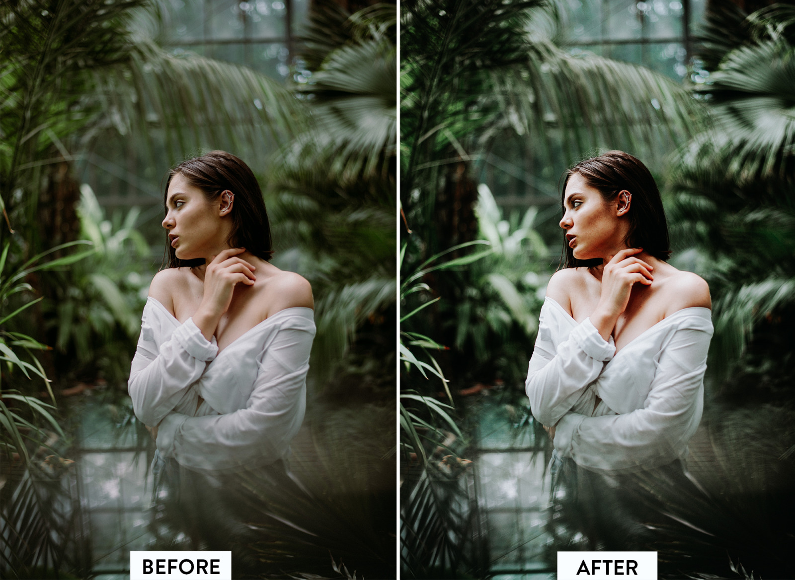 10 Moody Green Lightroom Preset