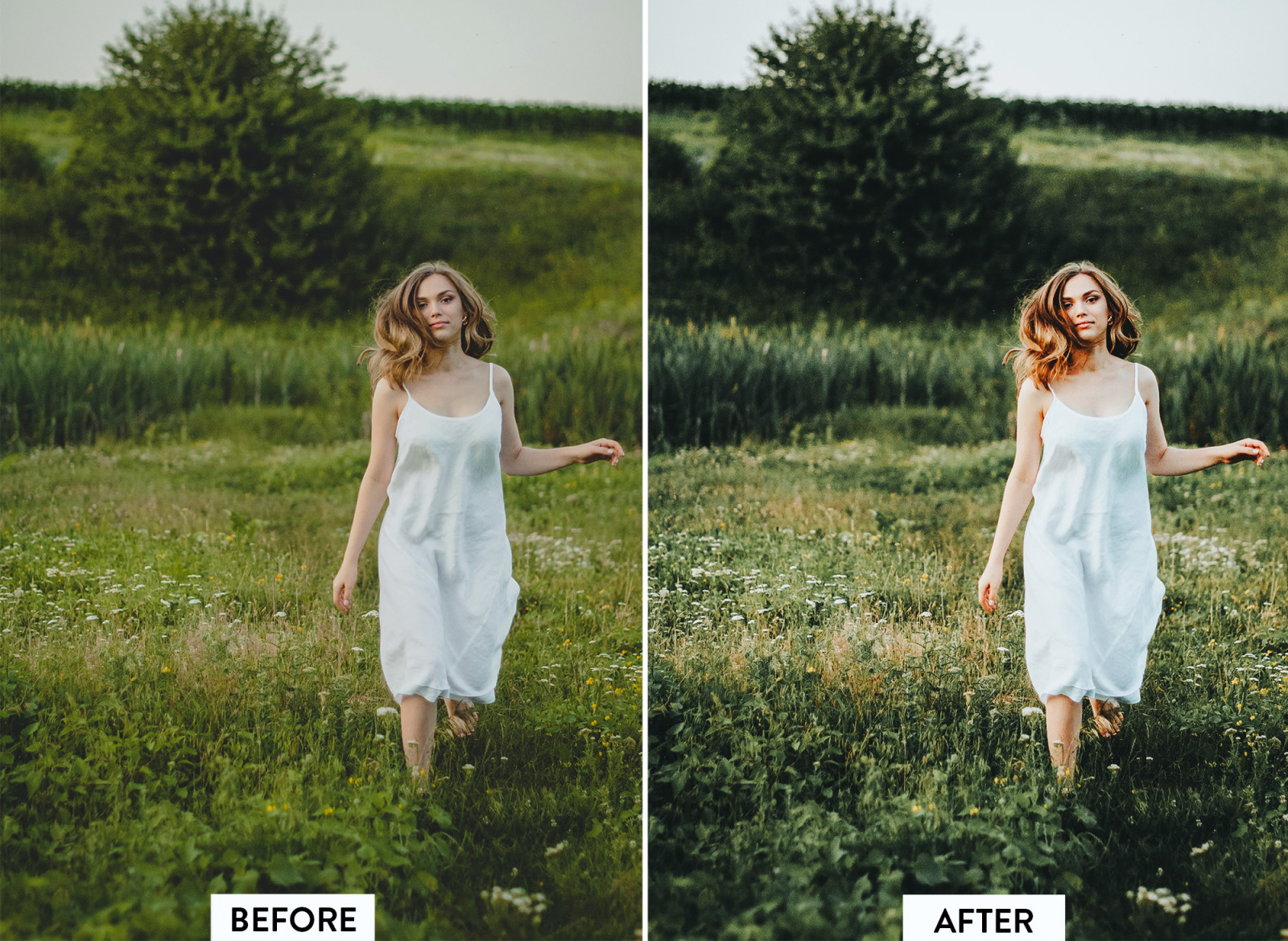10 Evergreen Lightroom Preset 10 Evergreen Lightroom Preset