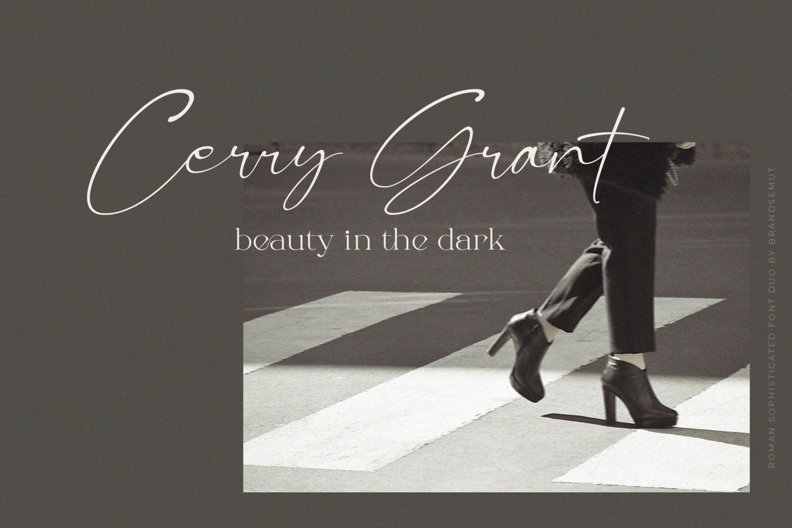 Roman Sophisticated Font Duo Roman Sophisticated Font Duo