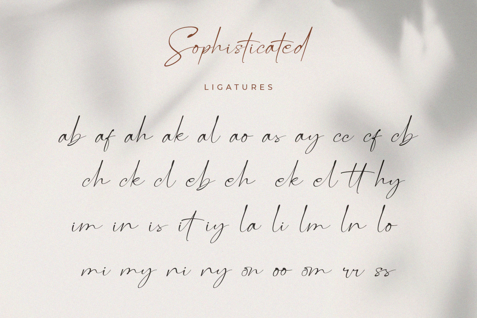 Roman Sophisticated Font Duo Roman Sophisticated Font Duo