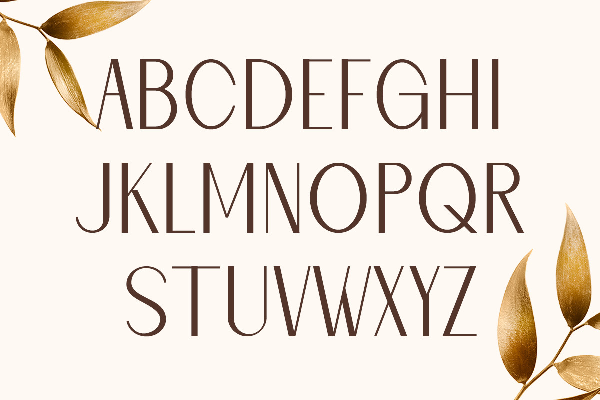 Naomi Elegant Typeface Naomi Elegant Typeface