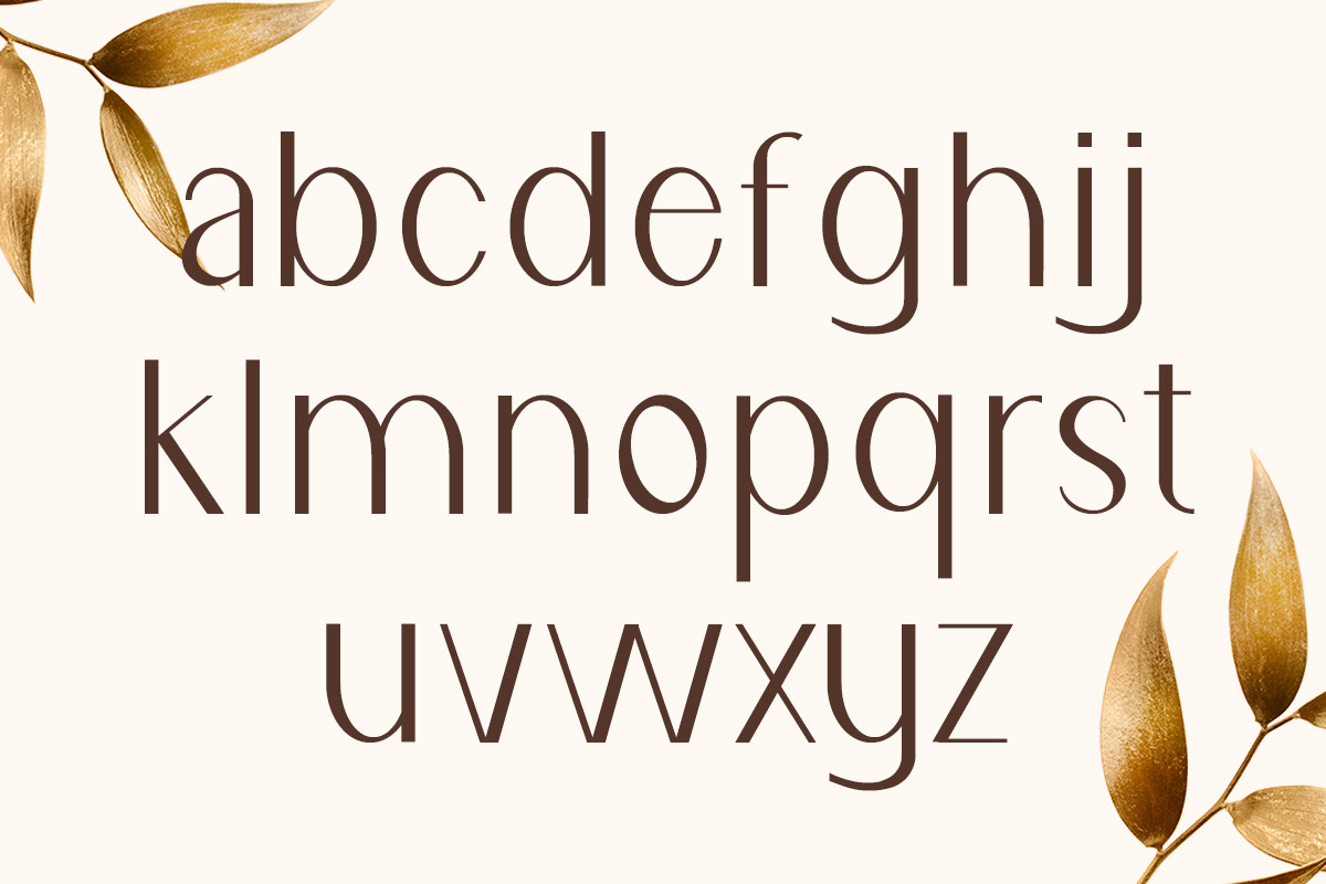 Naomi Elegant Typeface Naomi Elegant Typeface