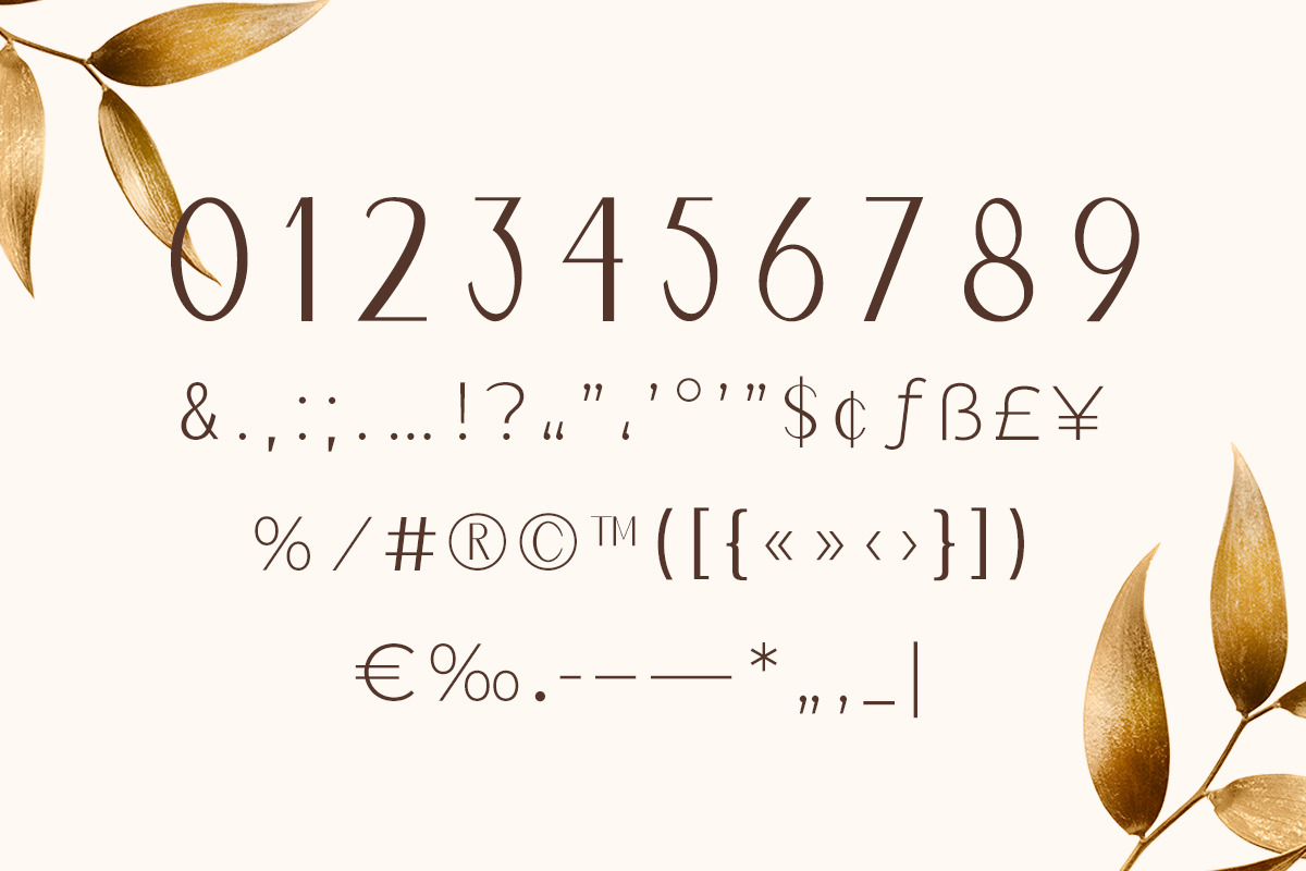 Naomi Elegant Typeface Naomi Elegant Typeface