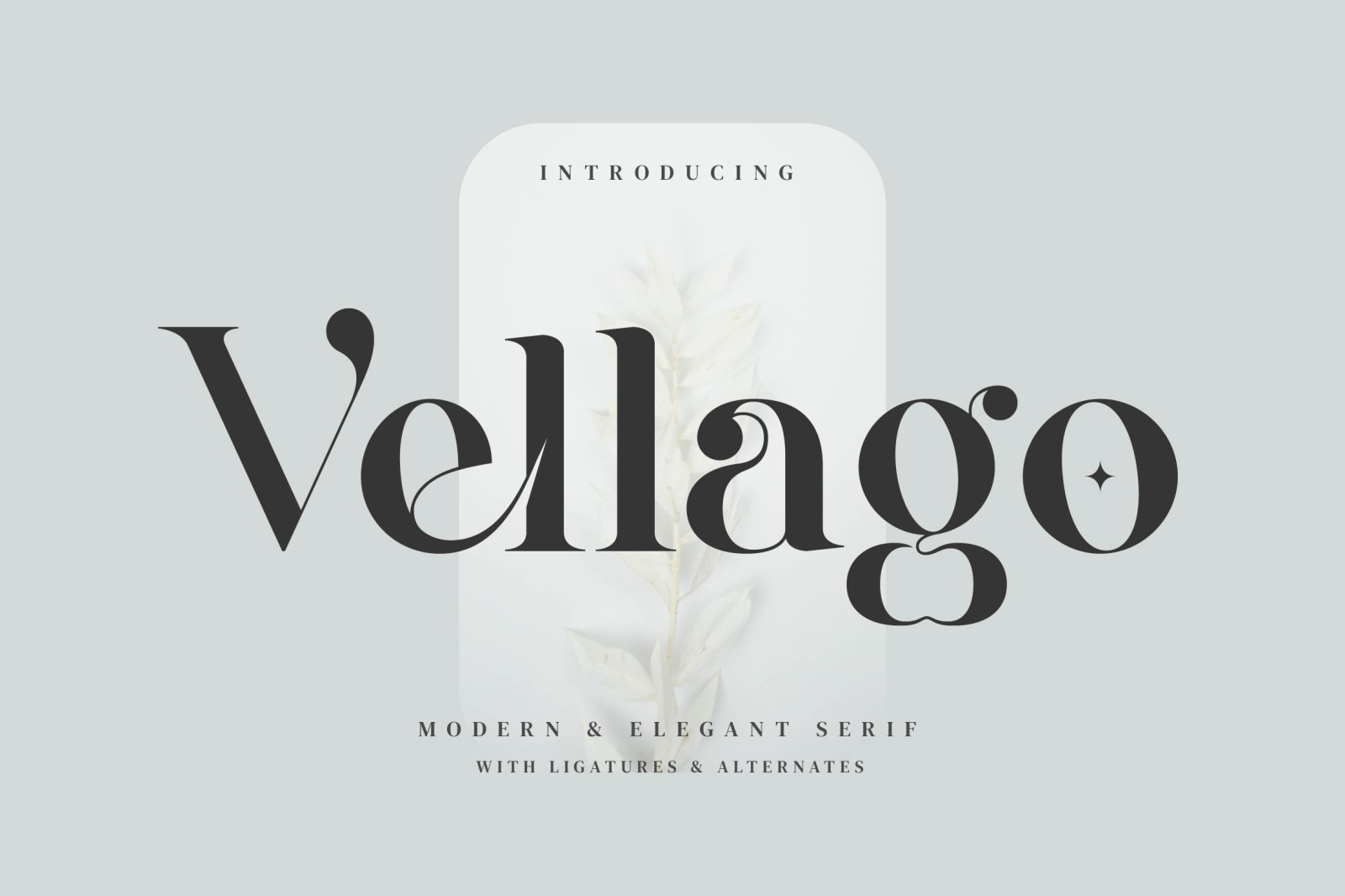 Vellago Font Vellago Font