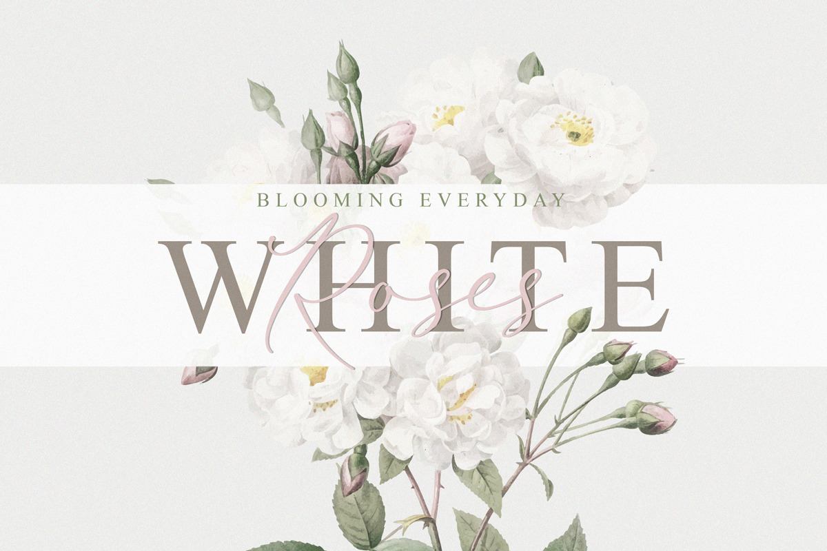 Wistania – Modern Calligraphy Font Wistania – Modern Calligraphy Font