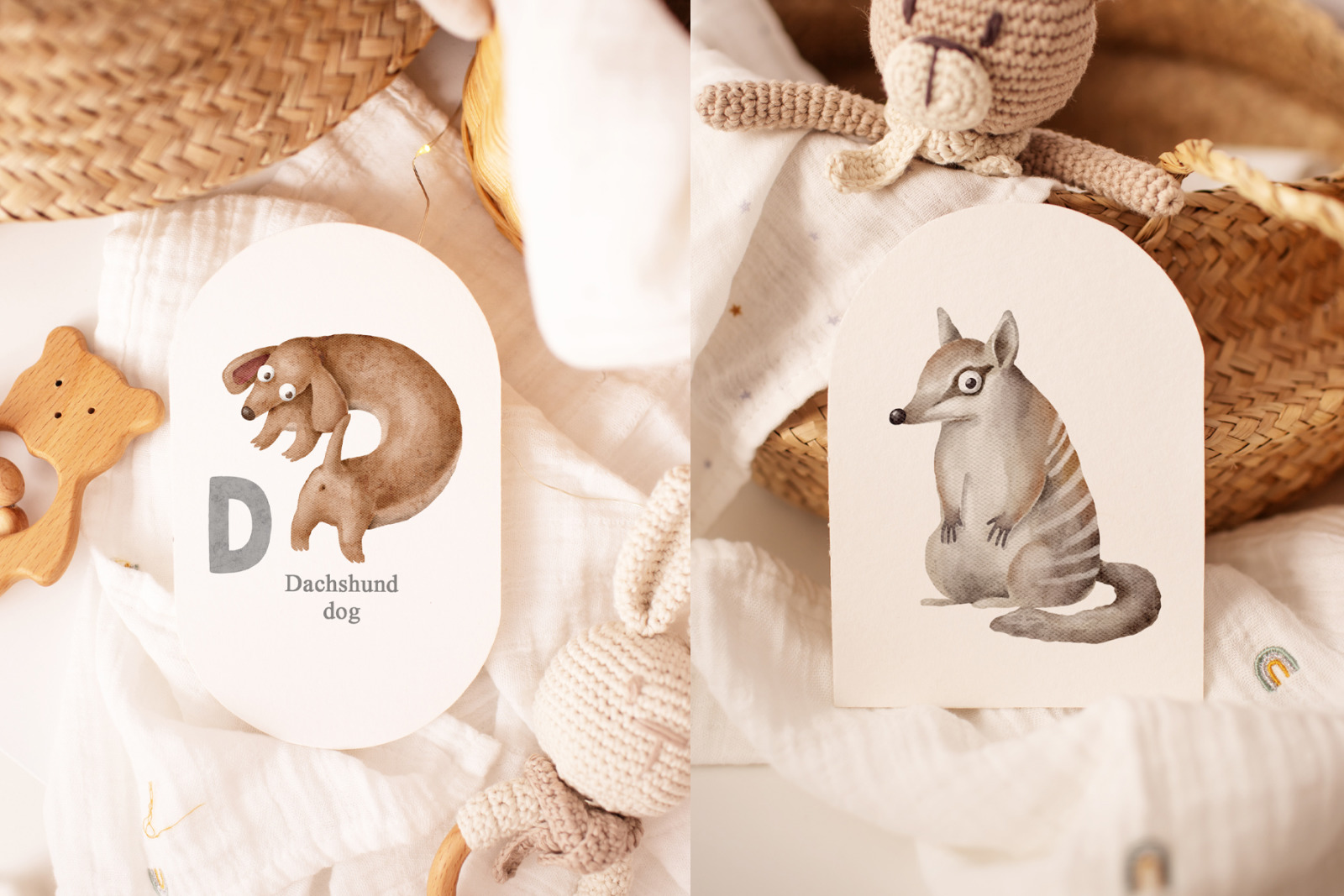 Animals Alphabet Animals Alphabet