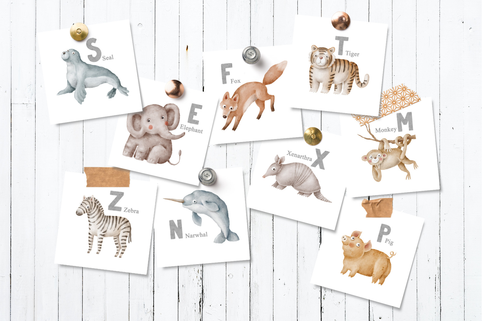 Animals Alphabet Animals Alphabet