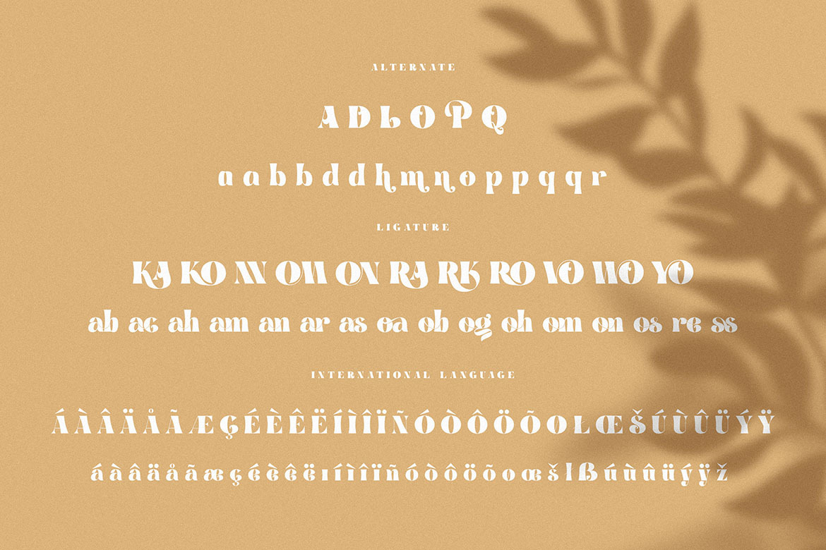 Brenham - Trendy Serif Font