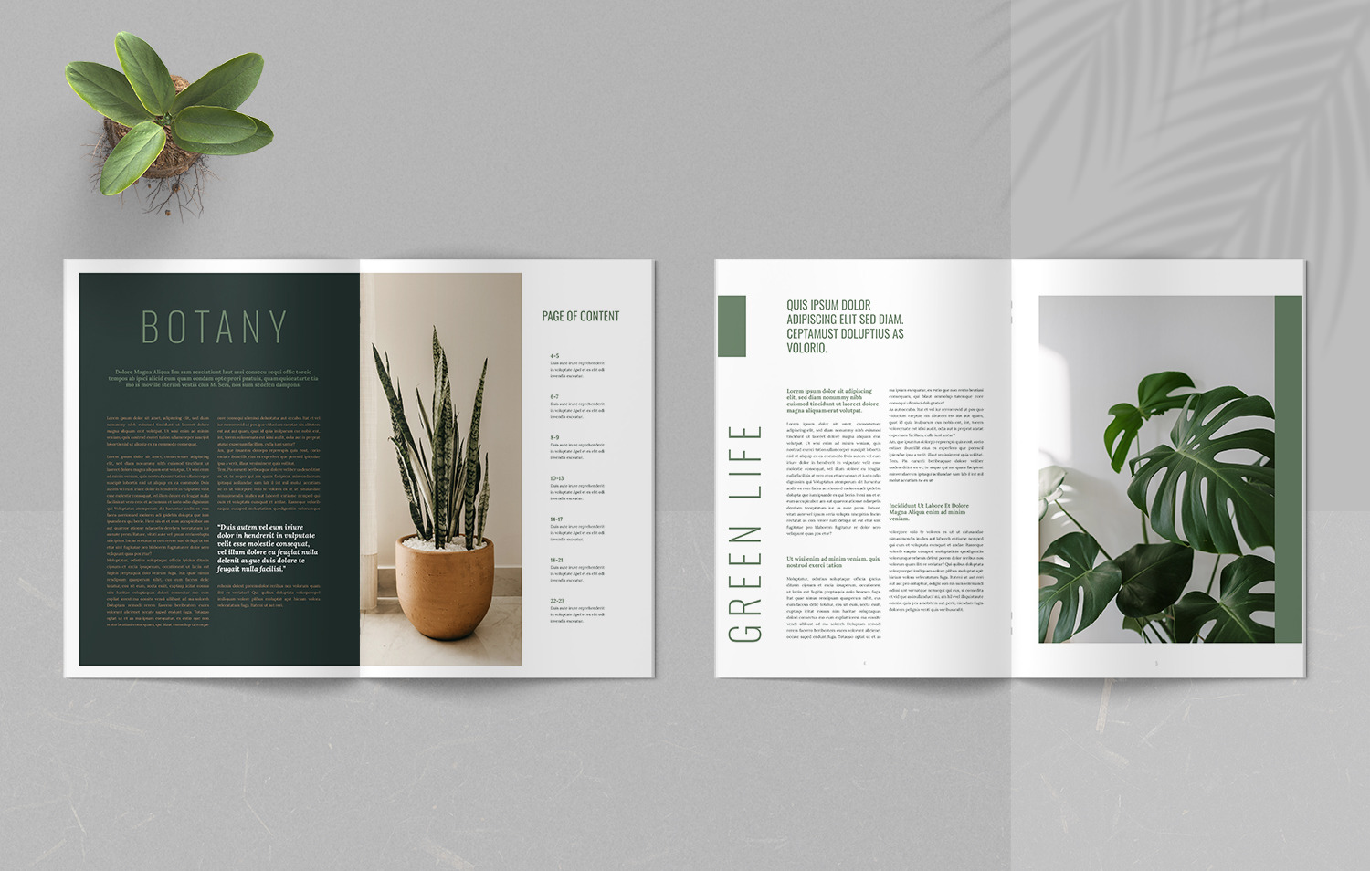 Botanic Magazine