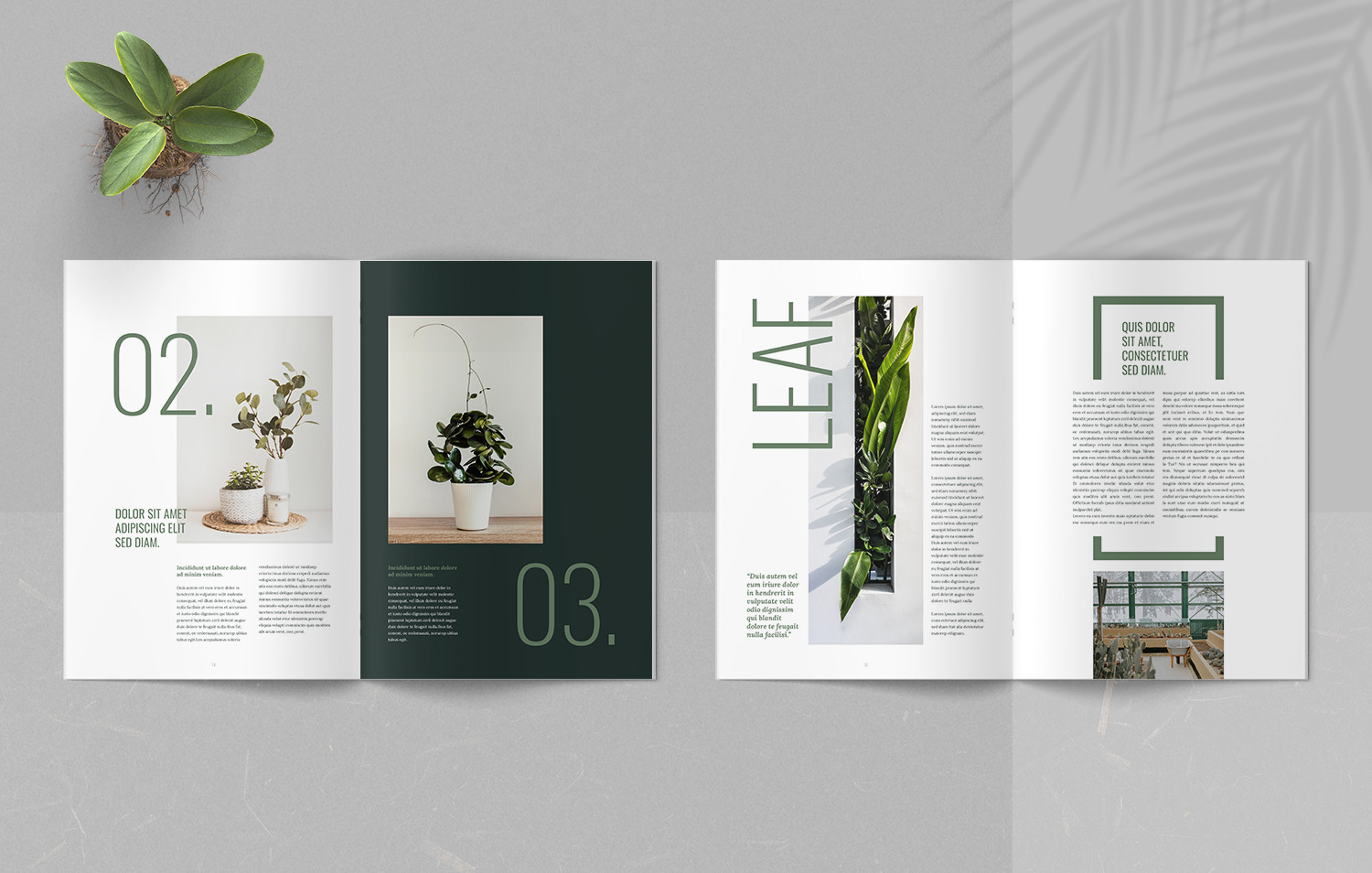 Botanic Magazine