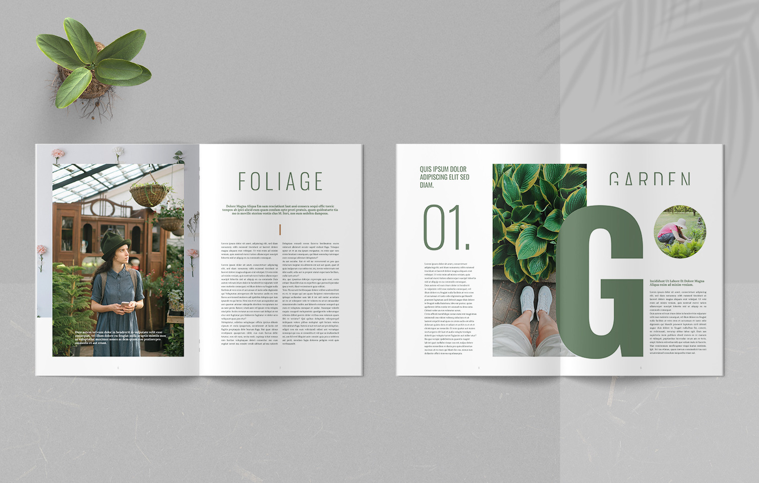 Botanic Magazine