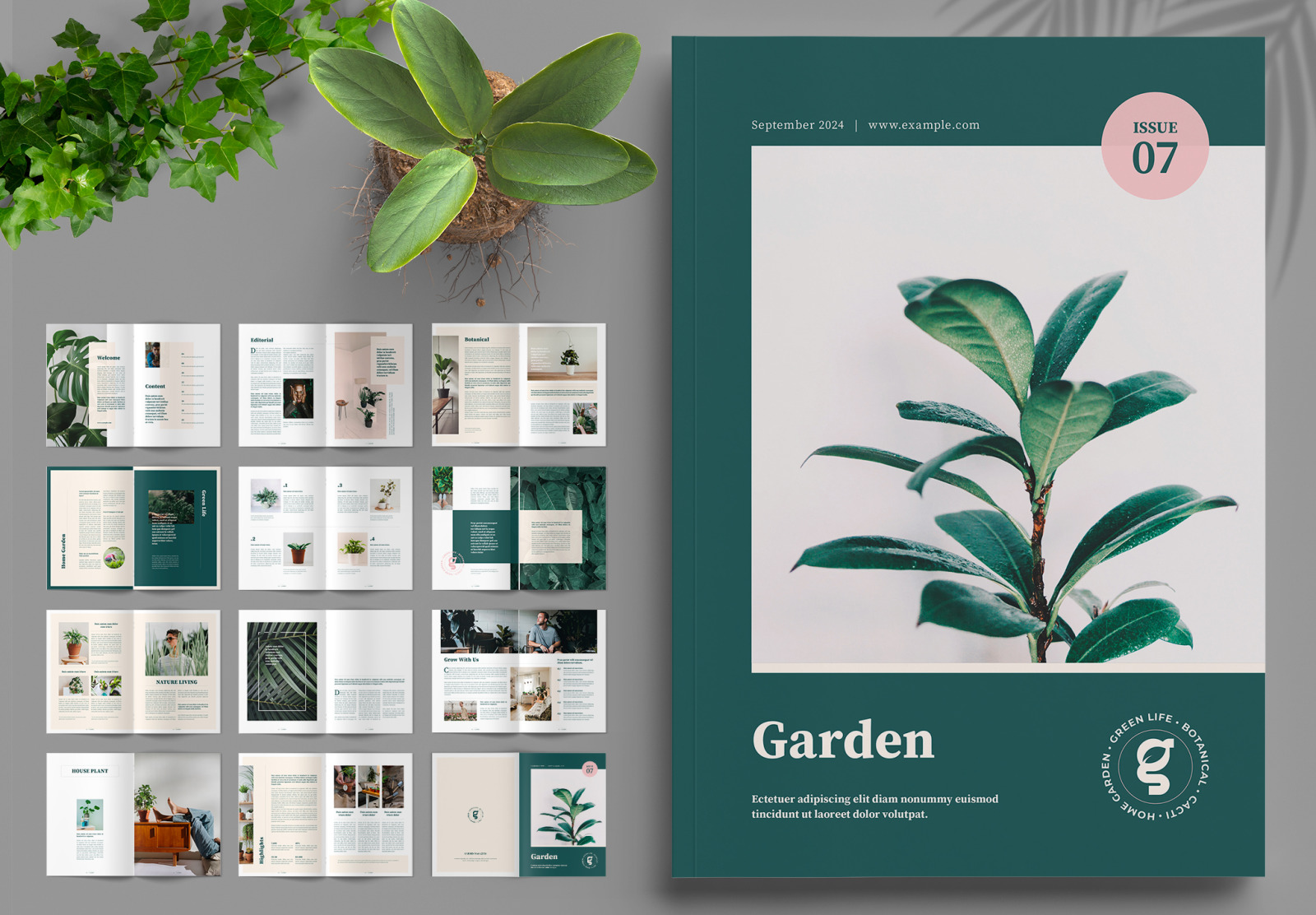 Garden Botanical Magazine