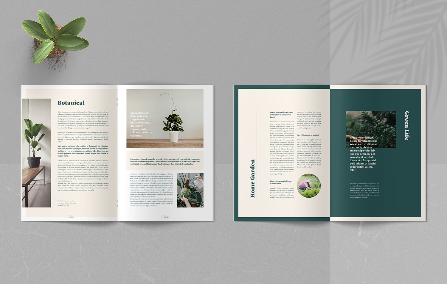 Garden Botanical Magazine Garden Botanical Magazine