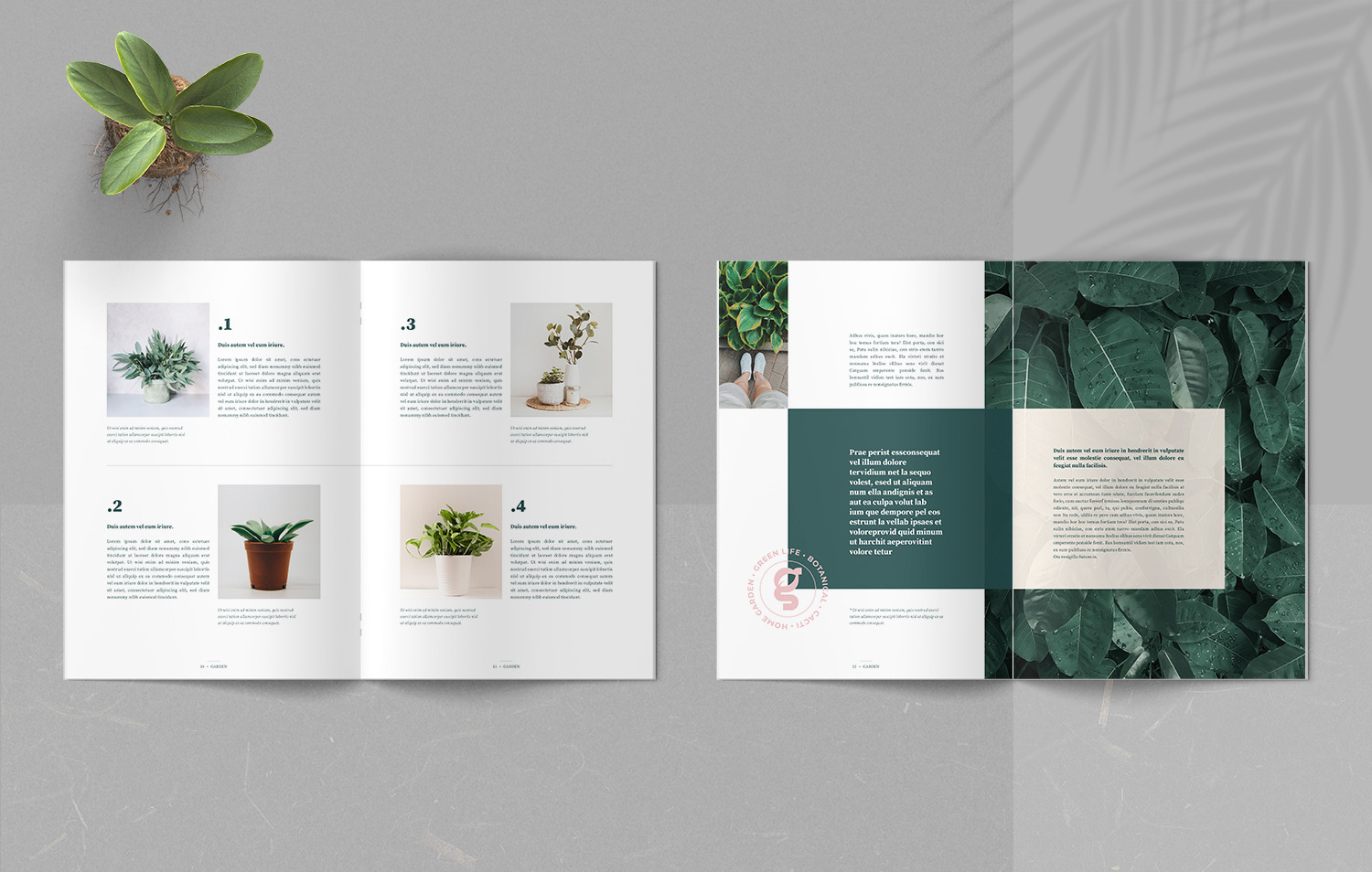 Garden Botanical Magazine