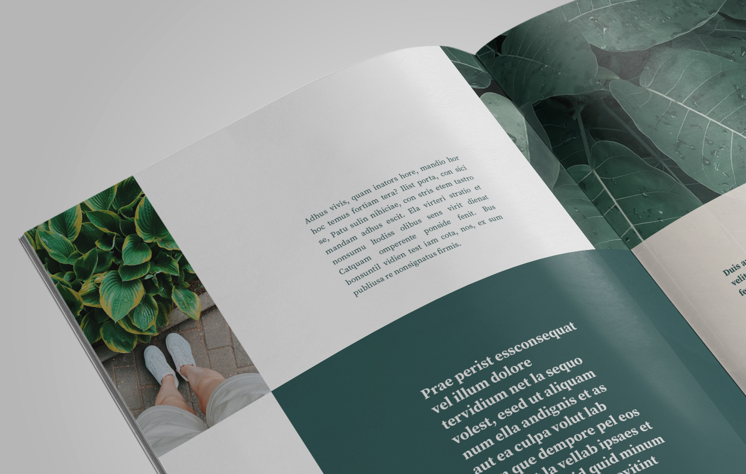 Garden Botanical Magazine Garden Botanical Magazine
