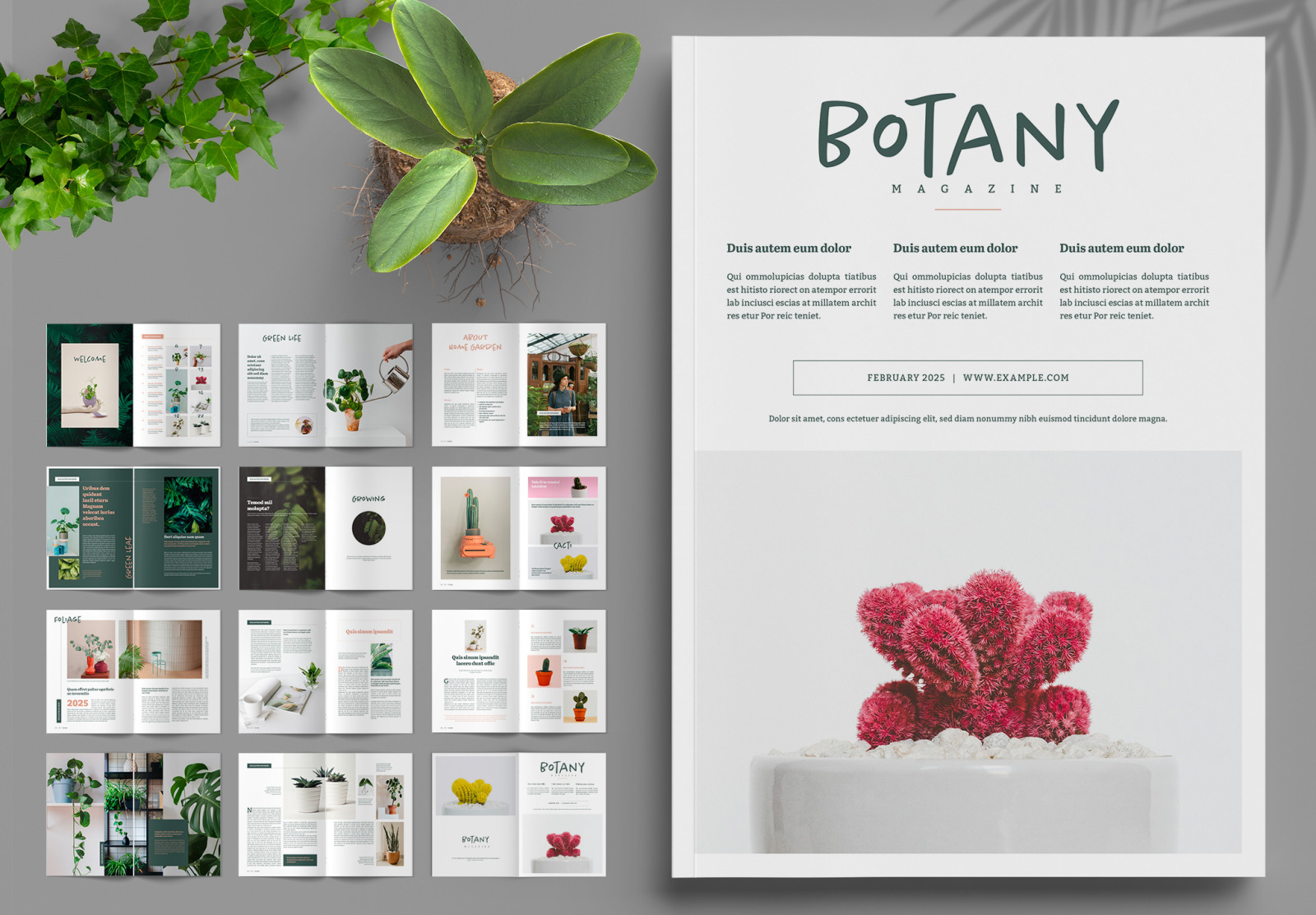 Botany Magazine