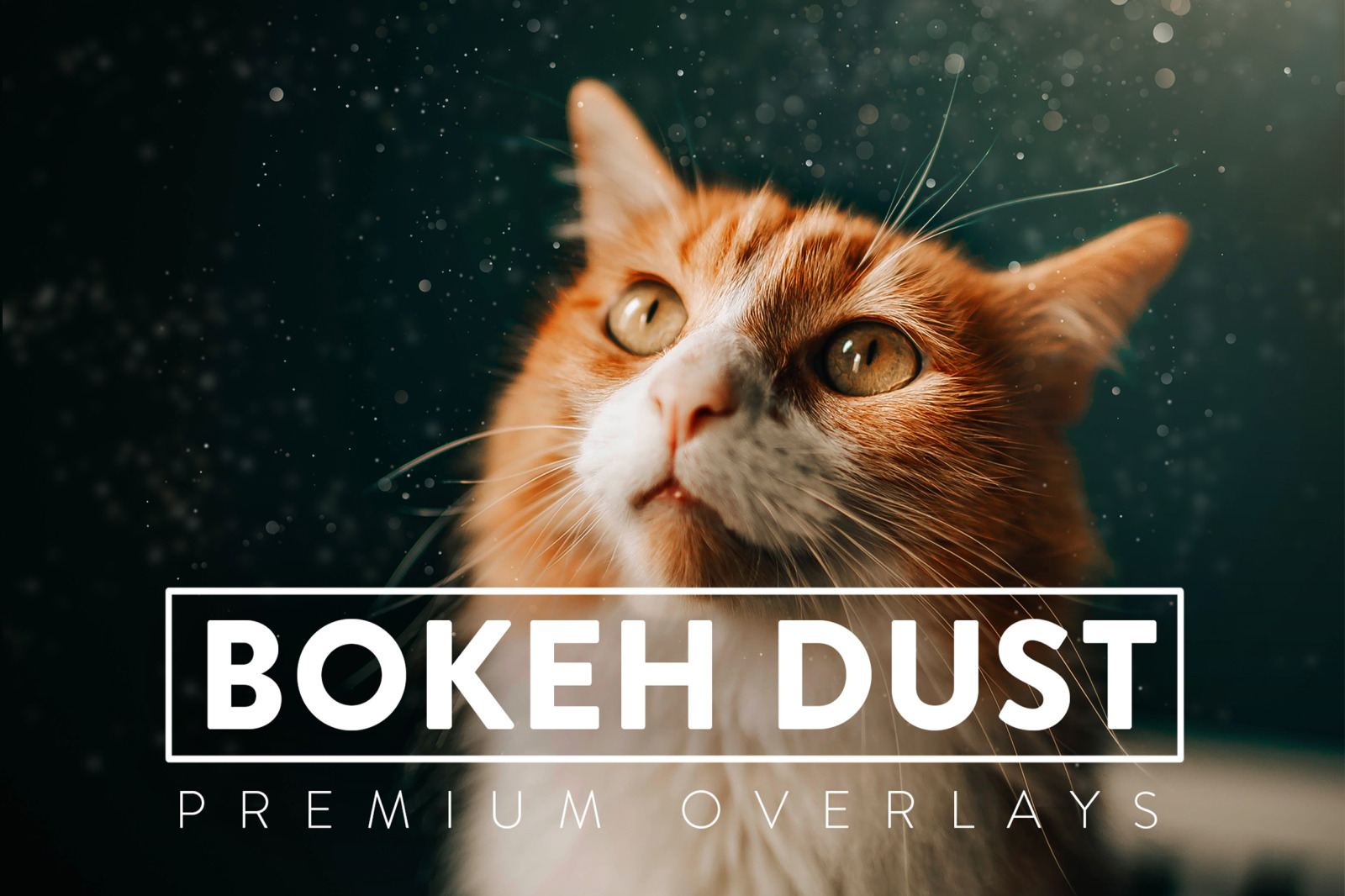 30 Bokeh Dust Overlay