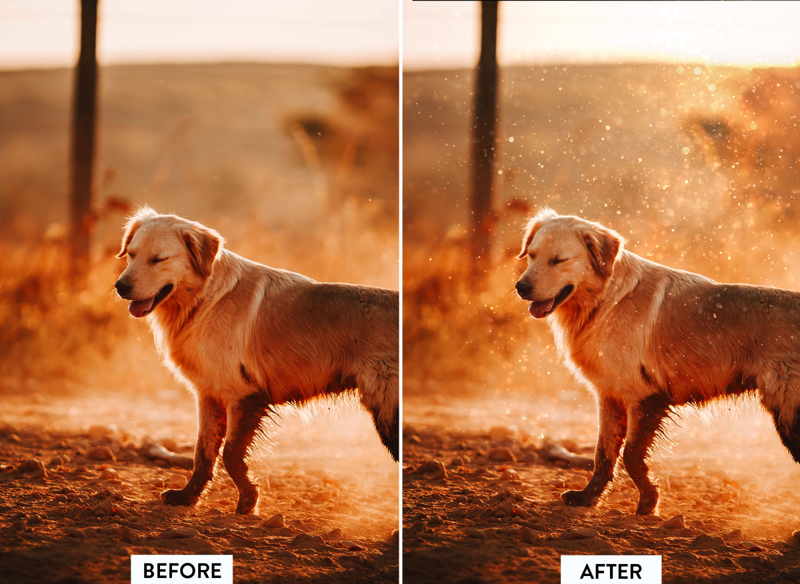 30 Bokeh Dust Overlay 30 Bokeh Dust Overlay