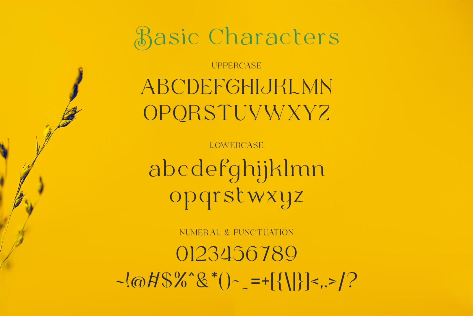 Bulone Typeface Bulone Typeface