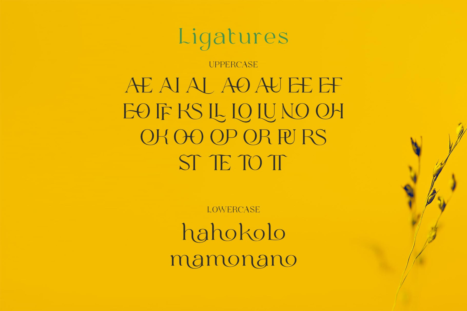 Bulone Typeface Bulone Typeface