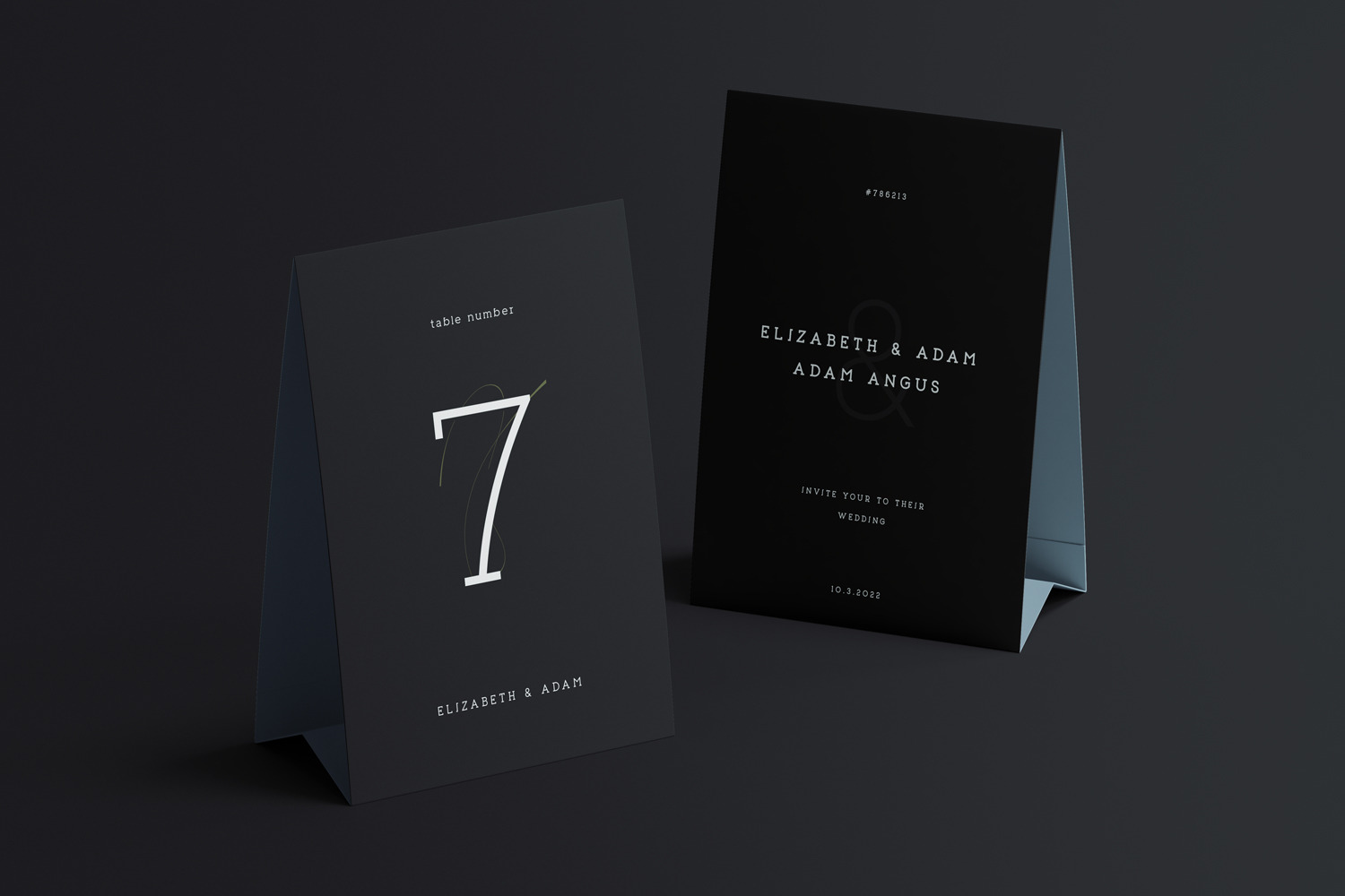 Enwicken Slab Serif Typeface Enwicken Slab Serif Typeface