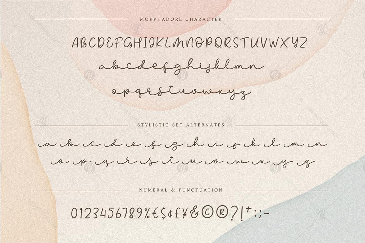 Morphadore - Longtail Script Morphadore - Longtail Script