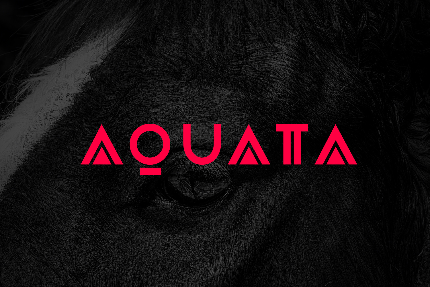 Aquata Typeface