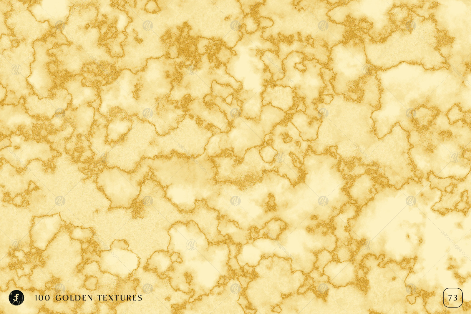 100 Golden Textures 100 Golden Textures