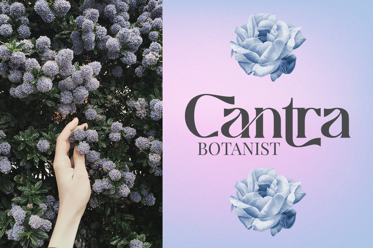 Caustics | Modern Serif Caustics | Modern Serif