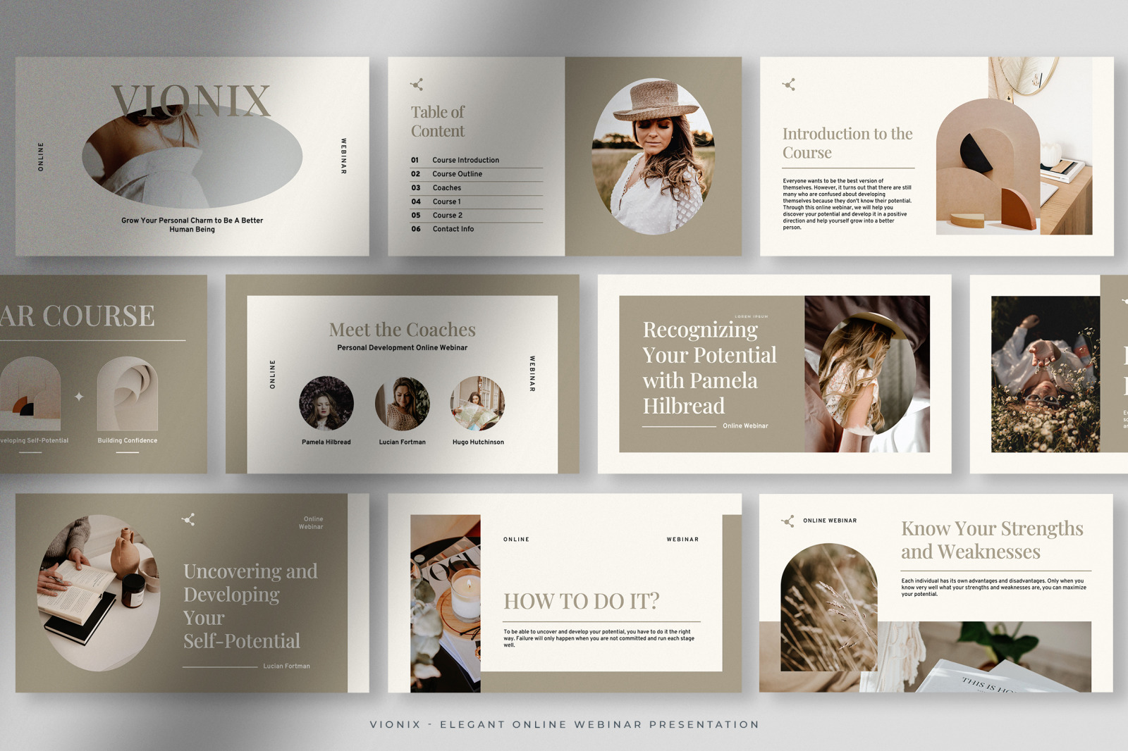 Vionix – Earthy Tone Elegant Online Webinar Presentation