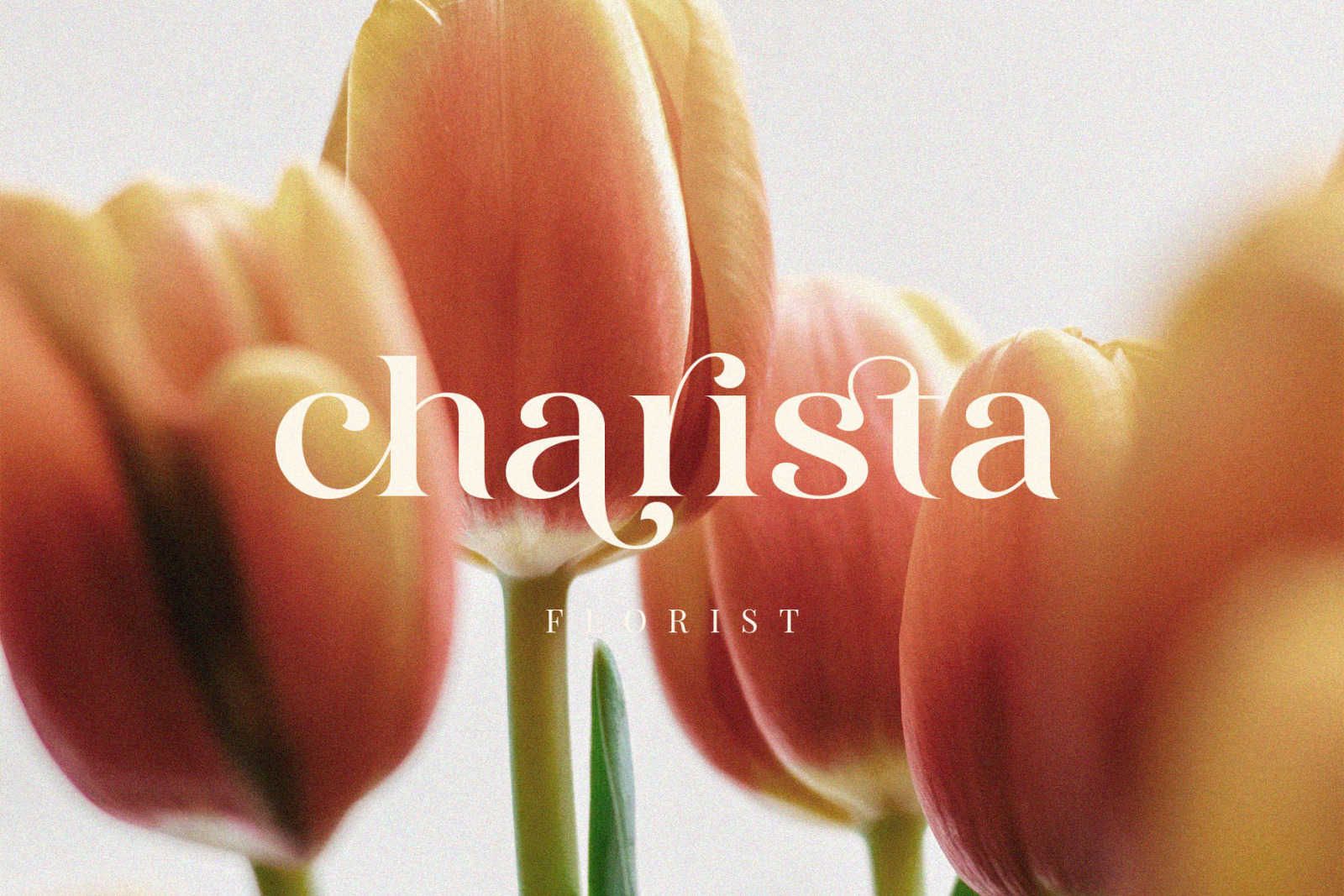 Hiraling – Modern Classy Serif Font Hiraling – Modern Classy Serif Font