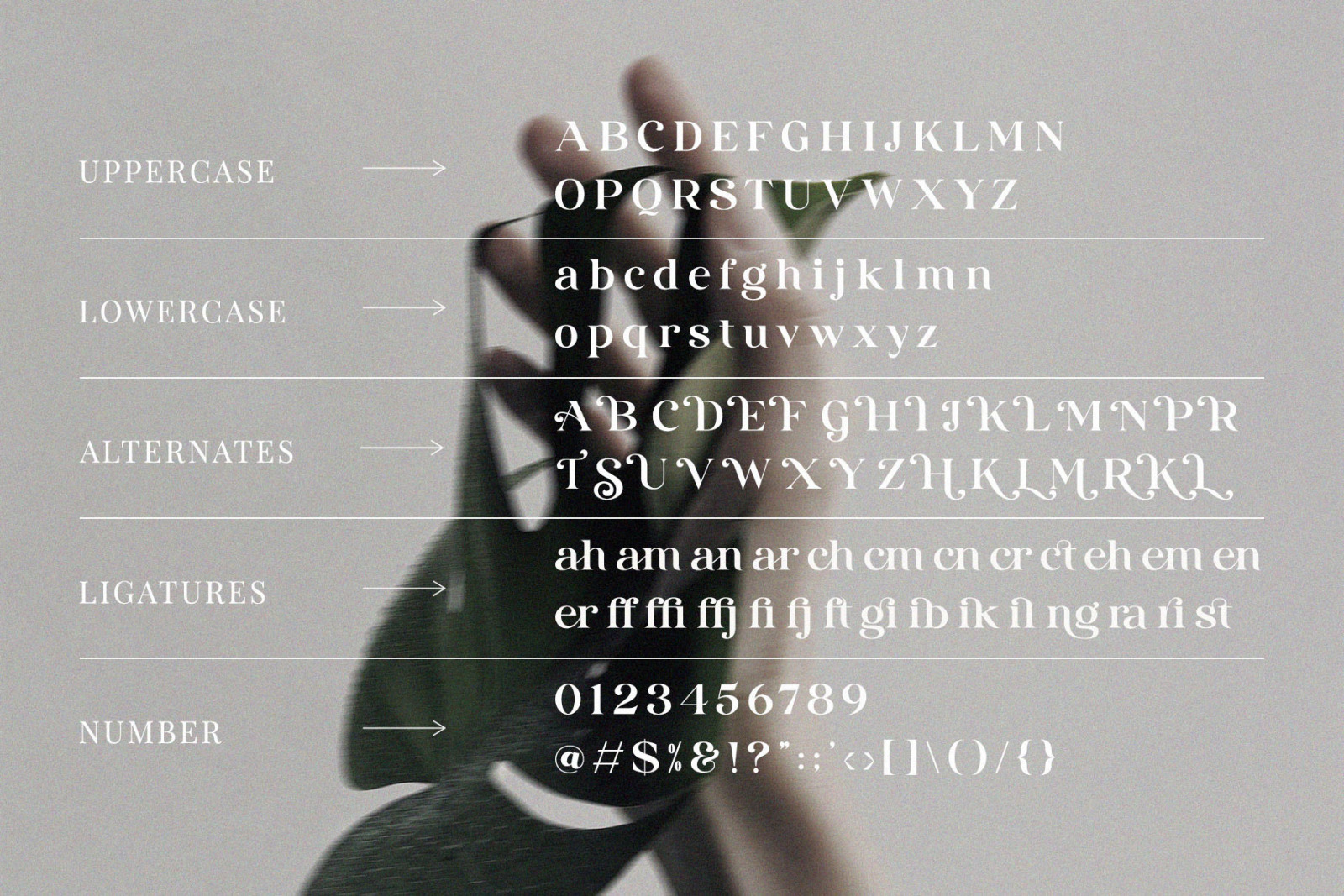 Hiraling – Modern Classy Serif Font Hiraling – Modern Classy Serif Font