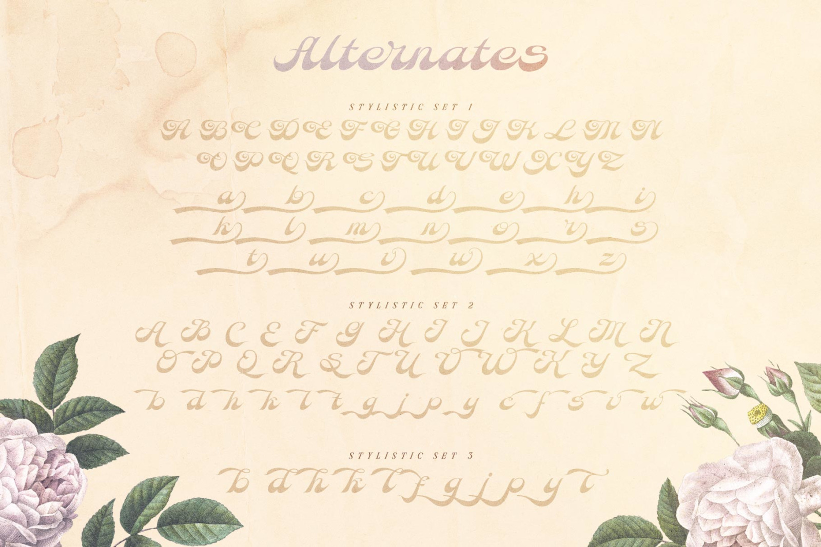 Hoky Mint Typeface Hoky Mint Typeface