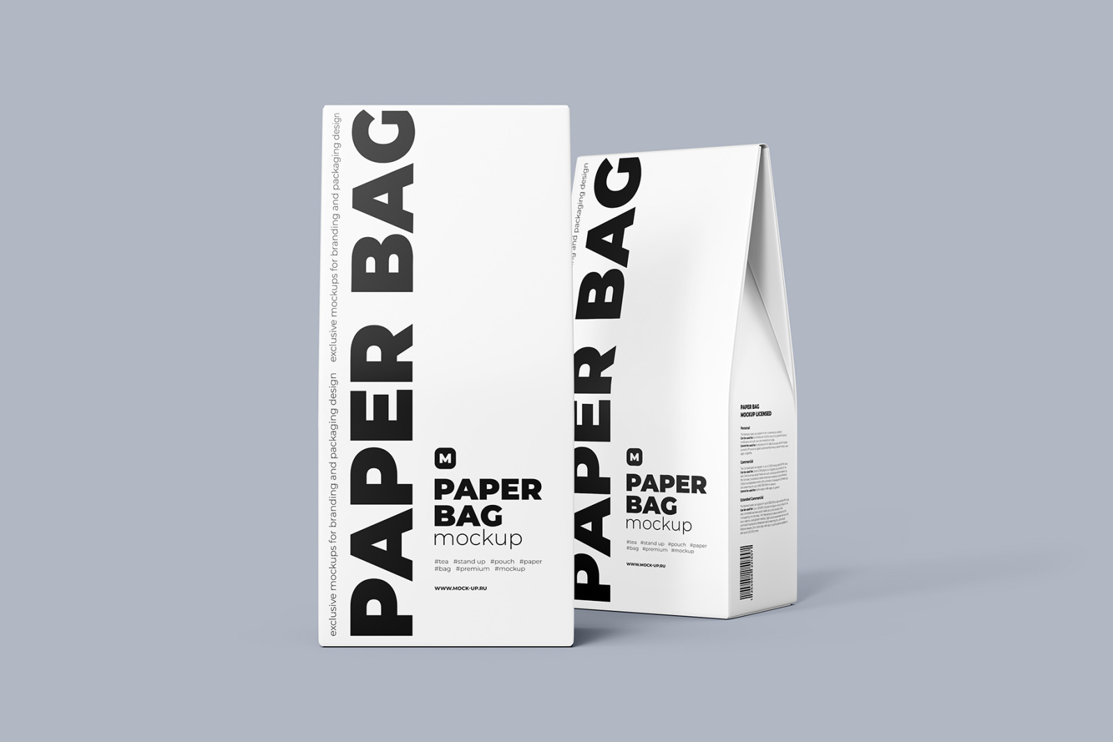 Two Paper Bag Mockup in one scene