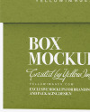 Kraft Paper Box with Label Mockup