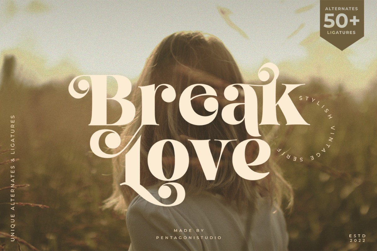 Break Love | Classy Retro Font