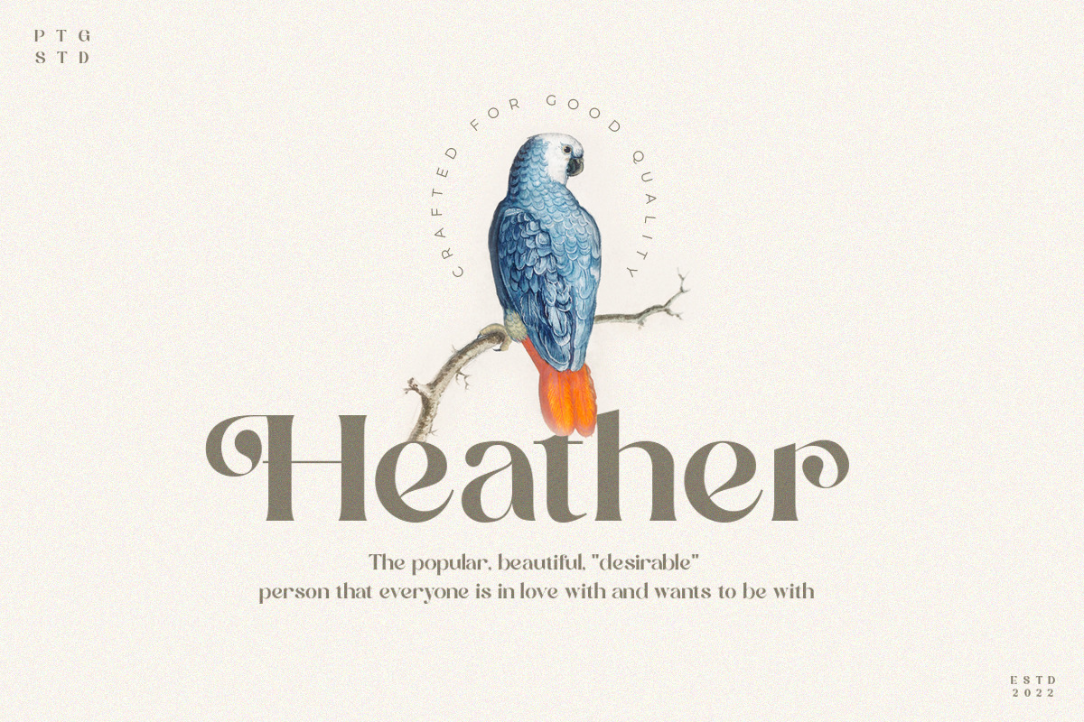 Calgary | New Stylish Serif Font Calgary | New Stylish Serif Font