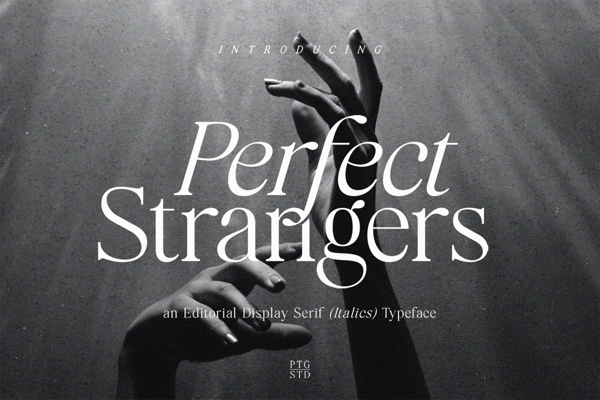 Perfect Strangers I Elegant Serif