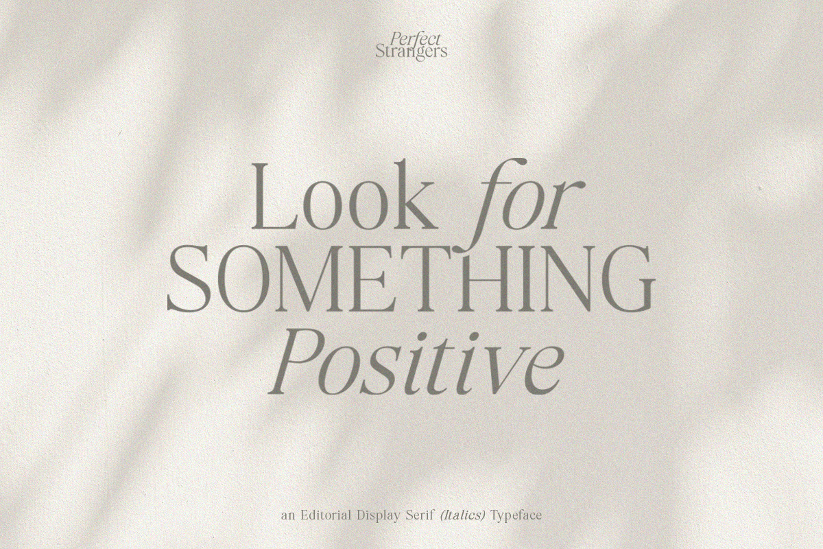 Perfect Strangers I Elegant Serif Perfect Strangers I Elegant Serif